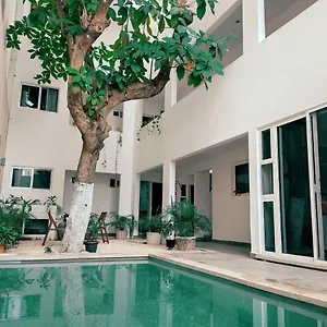 https://cozy-studios-zazil-ha.quintano-roohotels.com