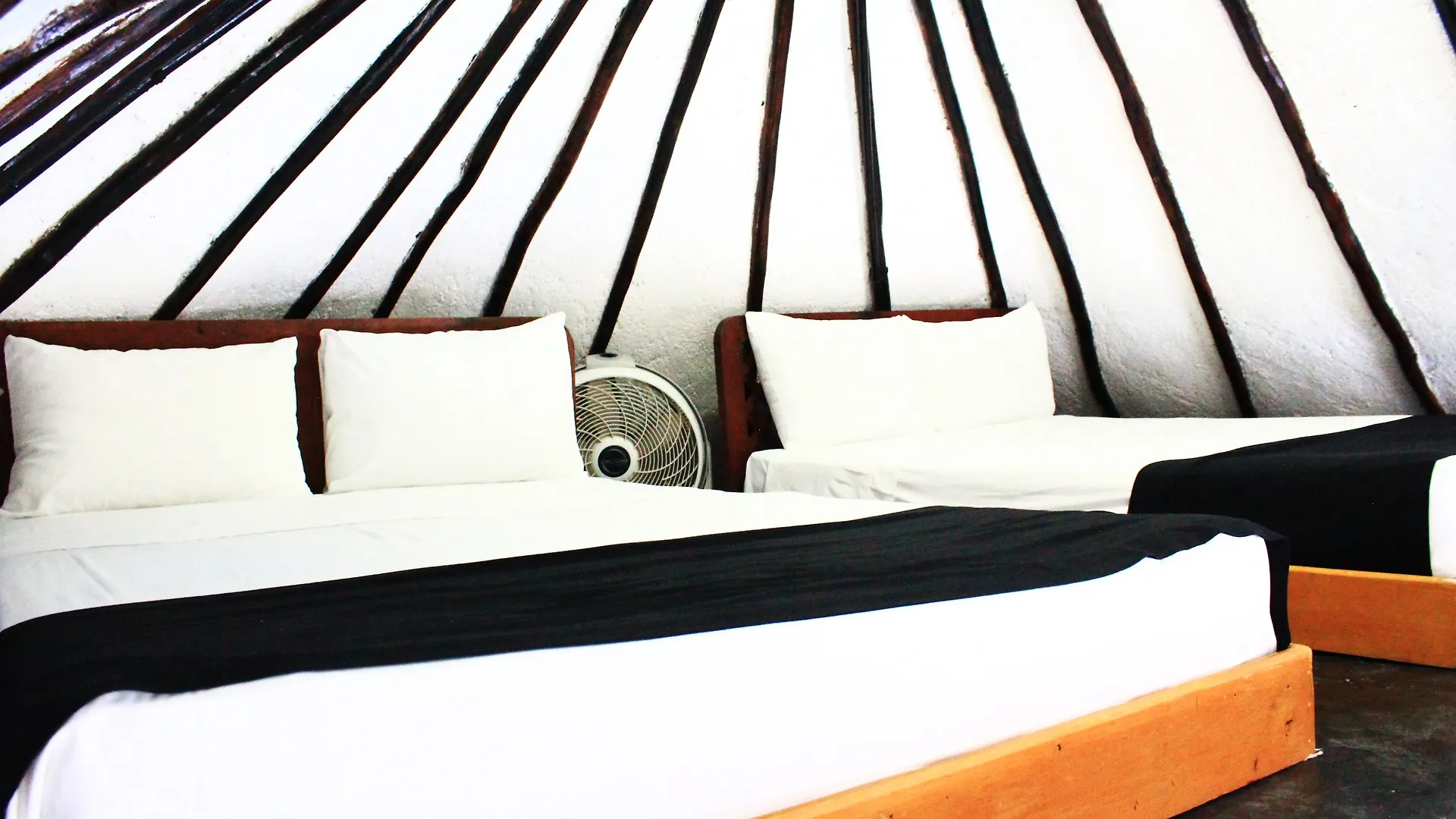 Maya Del Mar On Fifth Avenue Playa del Carmen